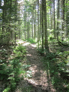 Appalachian Trail 