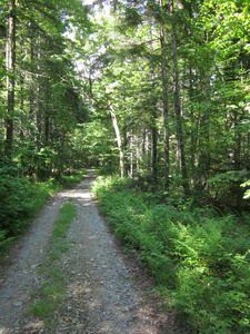 Appalachian Trail 