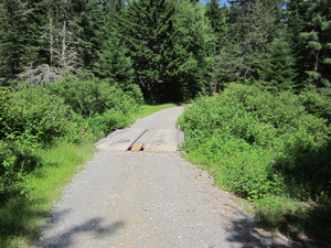 Appalachian Trail Bridge over Sandy Stream