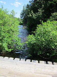 Appalachian Trail Sandy Stream