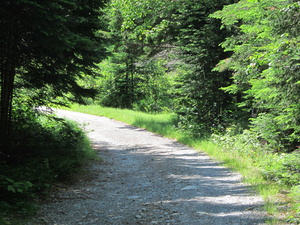 Appalachian Trail 