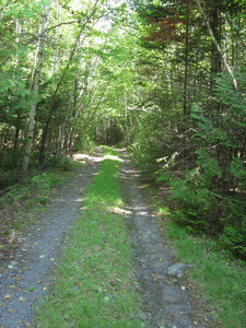 Appalachian Trail 