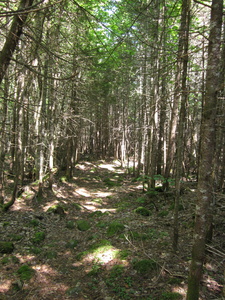 Appalachian Trail 