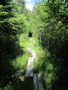 Appalachian Trail 