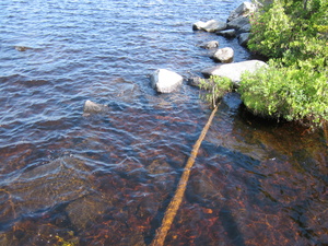 Appalachian Trail East Carry Pond