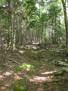 Appalachian Trail 