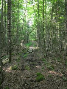 Appalachian Trail 