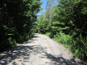 Appalachian Trail Main Logging Roa