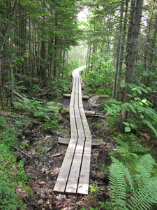 Appalachian Trail Very nice bog bridge