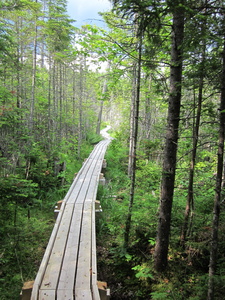 Appalachian Trail Very nice bog bridge