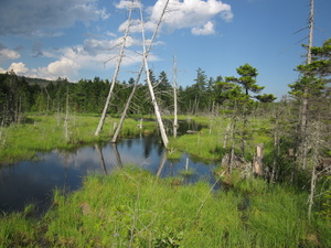 Appalachian Trail 