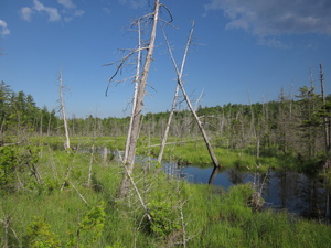 Appalachian Trail 