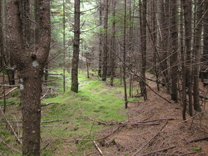 Appalachian Trail 