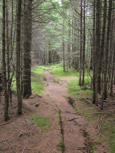 Appalachian Trail 