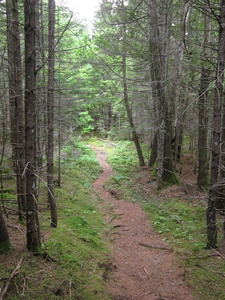 Appalachian Trail 