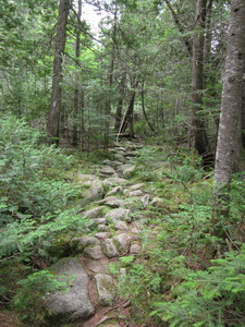 Appalachian Trail 