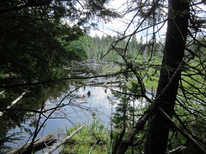 Appalachian Trail 