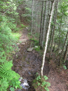 Appalachian Trail 