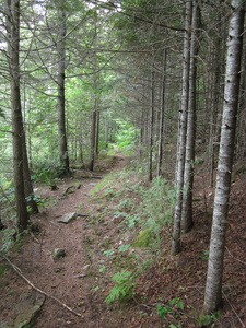 Appalachian Trail 