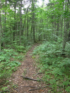 Appalachian Trail 