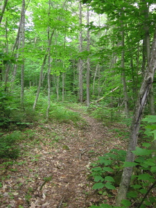 Appalachian Trail 