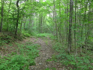 Appalachian Trail 