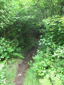 Appalachian Trail 