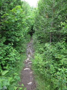 Appalachian Trail 