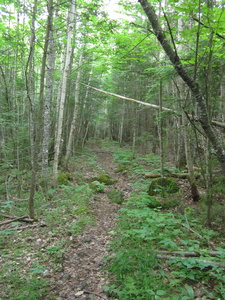 Appalachian Trail 