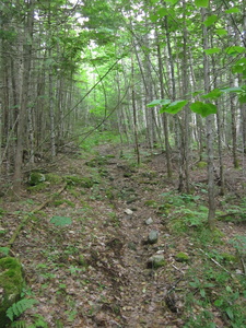 Appalachian Trail 