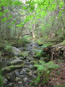 Appalachian Trail 