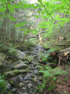 Appalachian Trail 