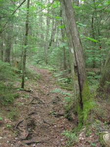 Appalachian Trail 