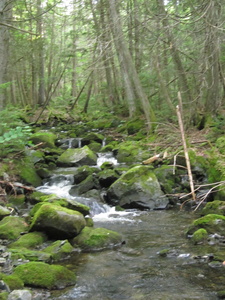 Appalachian Trail 