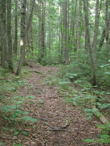 Appalachian Trail 