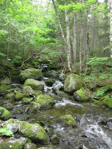 Appalachian Trail 