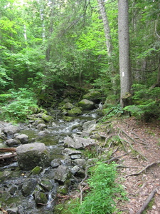 Appalachian Trail 