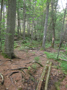 Appalachian Trail 