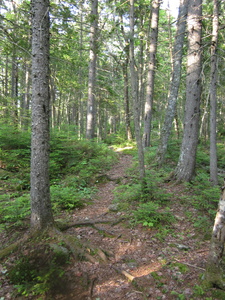 Appalachian Trail 