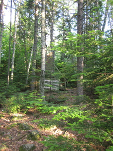 Appalachian Trail Outhouse