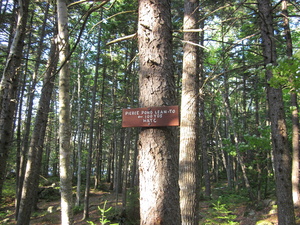 Appalachian Trail Pierce Pond Lean-to sign