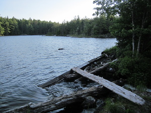 Appalachian Trail The trail is right next to the beaver dam