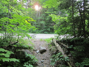 Appalachian Trail Road to Otter Ponds