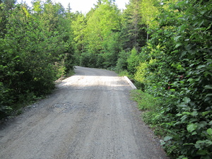 Appalachian Trail Road to Otter Ponds