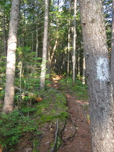 Appalachian Trail 