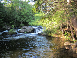 Appalachian Trail 