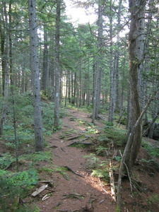 Appalachian Trail 