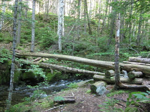 Appalachian Trail 