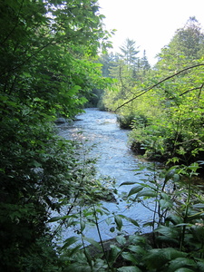 Appalachian Trail 