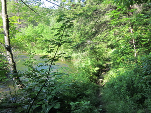 Appalachian Trail 